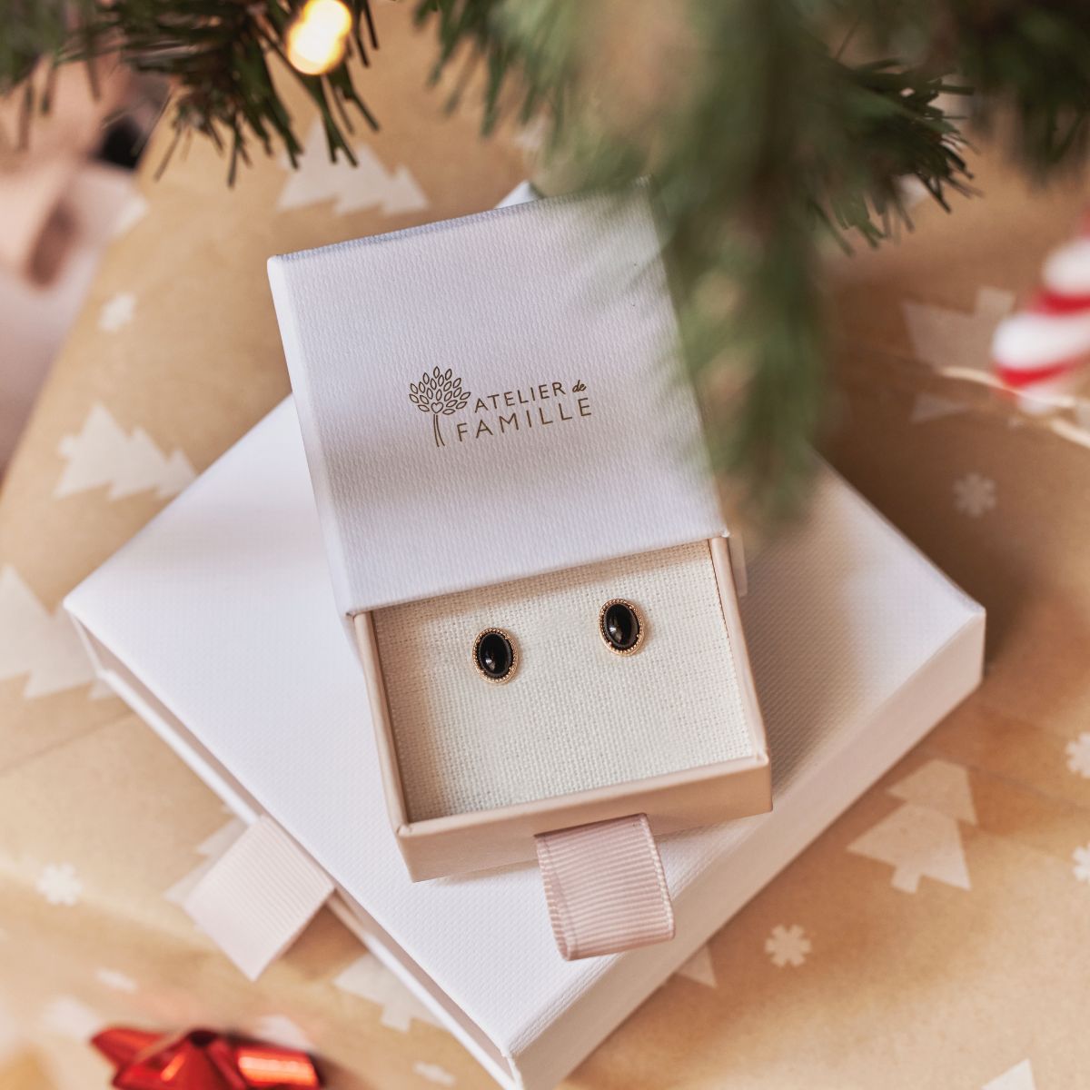 Ecrin bague et boucles d'oreilles